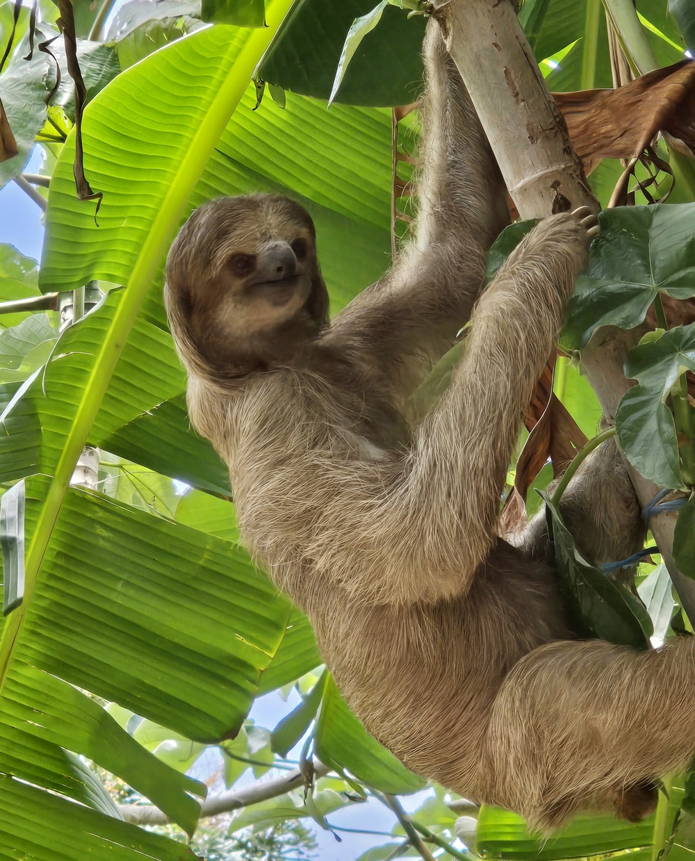 2026-04-07-D Roatan 20260407_123314_ji.jpg